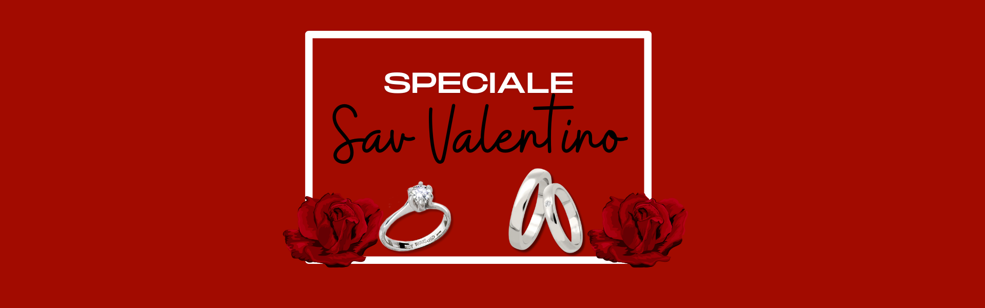 banner home SAN VALENTINO25011441